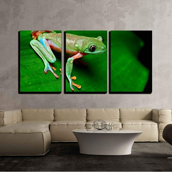 24x24 Side by Side Frogs with Glasses Art Bedroom Wall Art Laundry Room Decor Kids' Room Decor Inspirational Wall Art with Frame Easy Hanging with 1 Panel Canvas Frog Wall Art Decor 